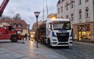 Transport specjalistyczny choinek świątecznych | OL-TRANS