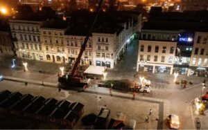 Transport specjalistyczny choinek świątecznych | OL-TRANS