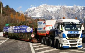 Transport specjalistyczny choinek świątecznych | OL-TRANS